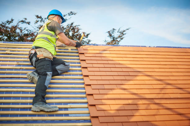 Best Metal Roofing Installation  in Lyles, TN